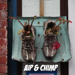 aip and chimp hello bk