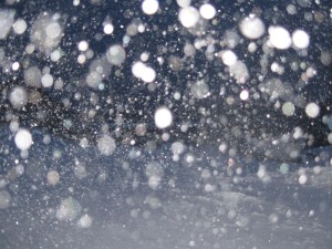 snow-2