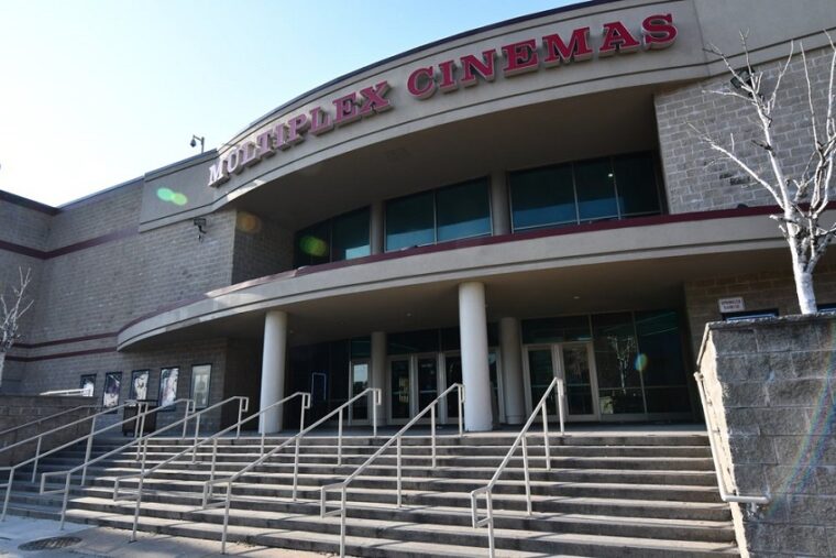 Supermarket Chain Buys Multiplex Movie Theater on Linden Blvd in East